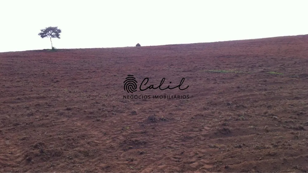 Fazenda, 222 hectares - Foto 14