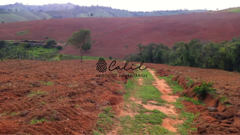 Fazenda, 222 hectares - Foto 13