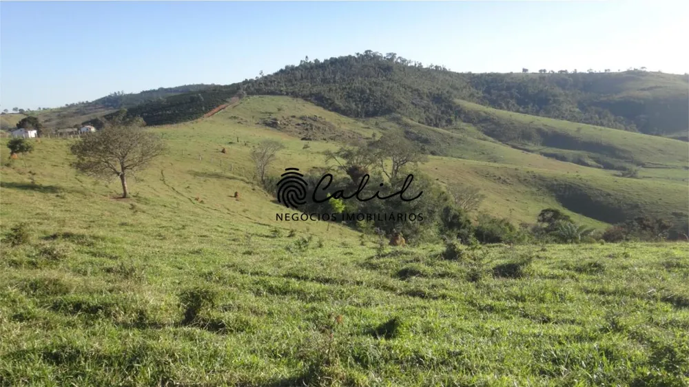 Fazenda, 222 hectares - Foto 19