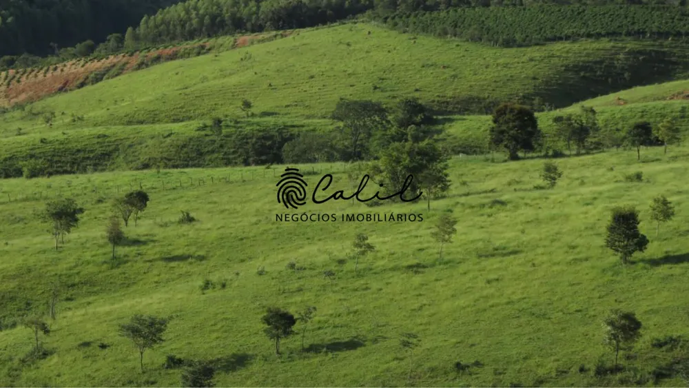 Fazenda, 222 hectares - Foto 8