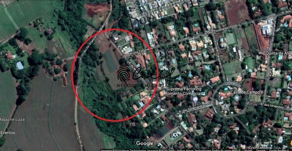 Terreno, 3 hectares - Foto 1