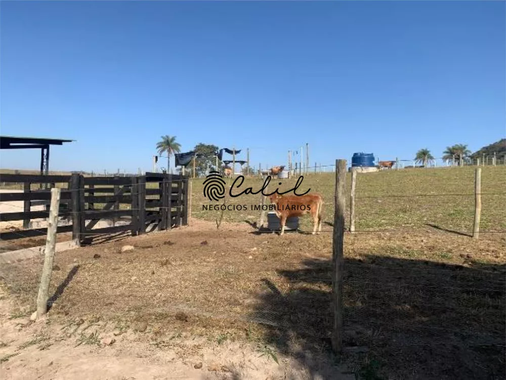 Sítio, 14 quartos, 7 hectares - Foto 17