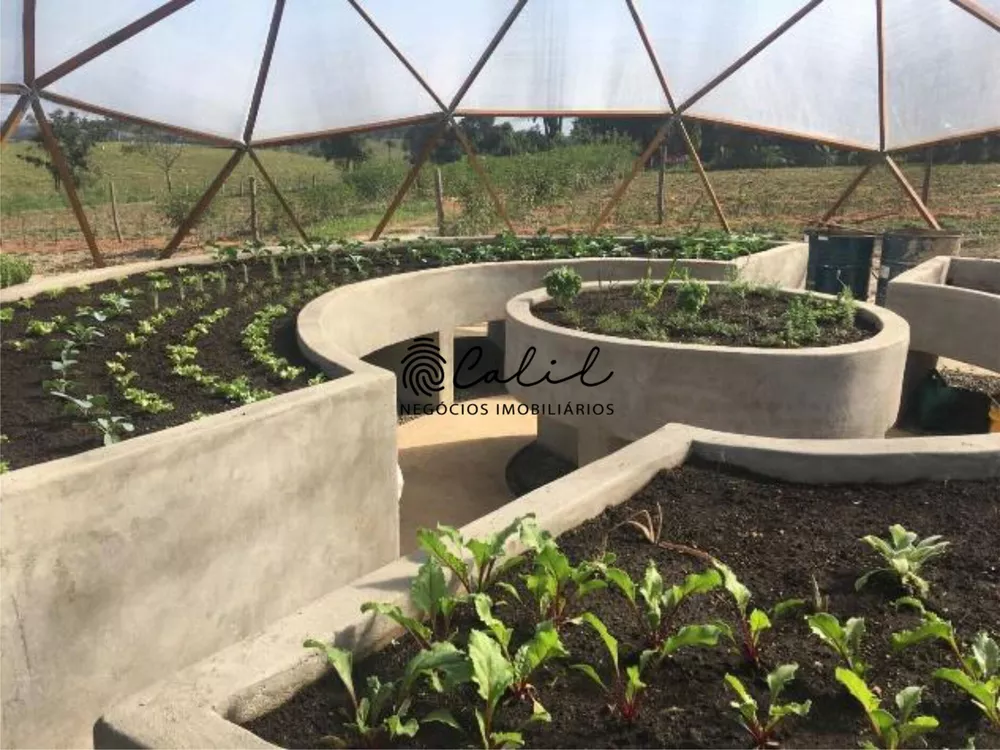 Sítio, 14 quartos, 7 hectares - Foto 12