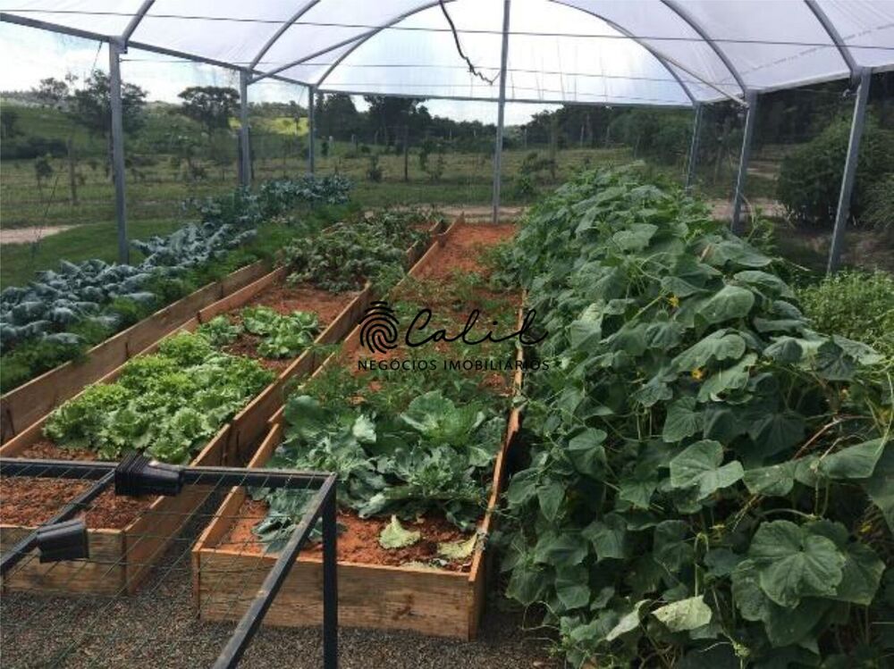 Sítio, 14 quartos, 7 hectares - Foto 13