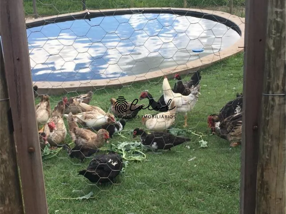 Sítio, 14 quartos, 7 hectares - Foto 16