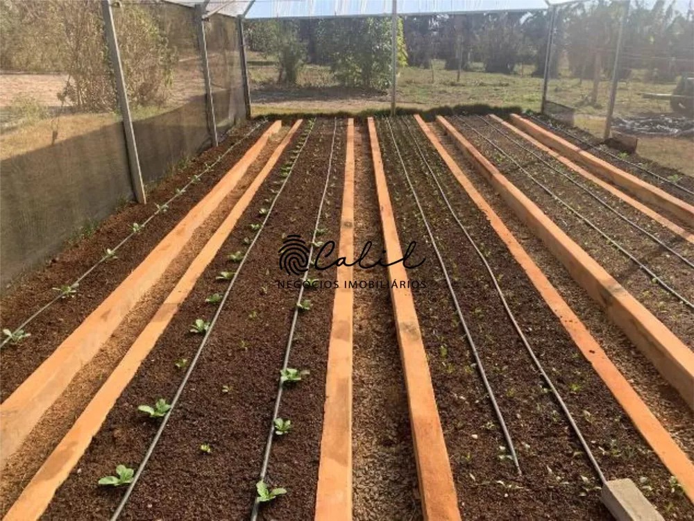 Sítio, 14 quartos, 7 hectares - Foto 11