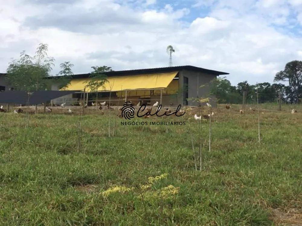 Sítio, 14 quartos, 7 hectares - Foto 15