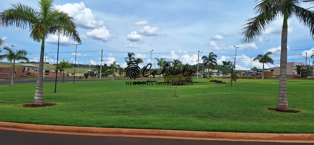 Terreno, 250 m² - Foto 1