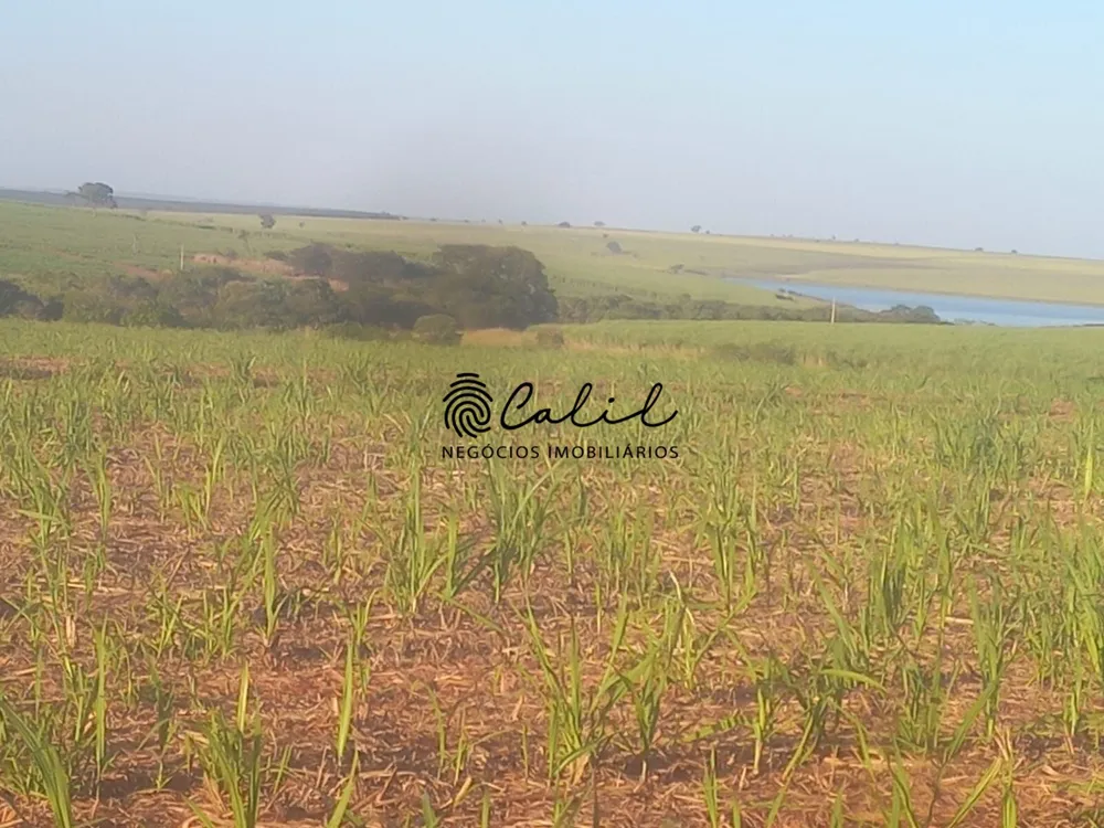 Fazenda, 465 hectares - Foto 10