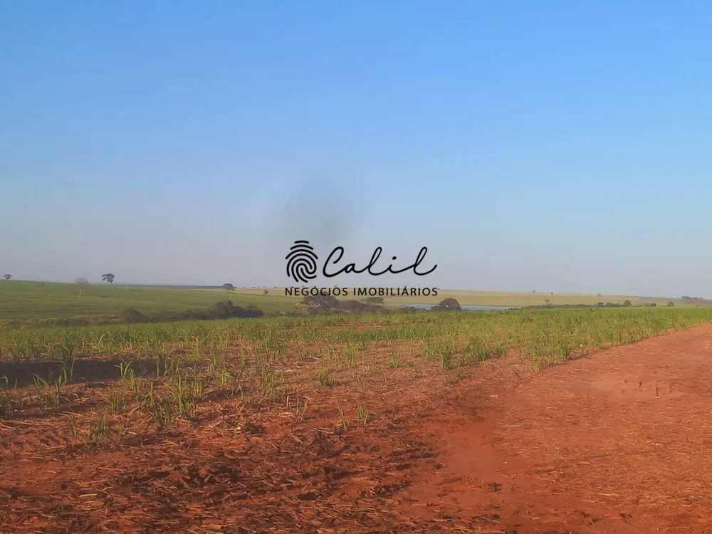 Fazenda, 465 hectares - Foto 6