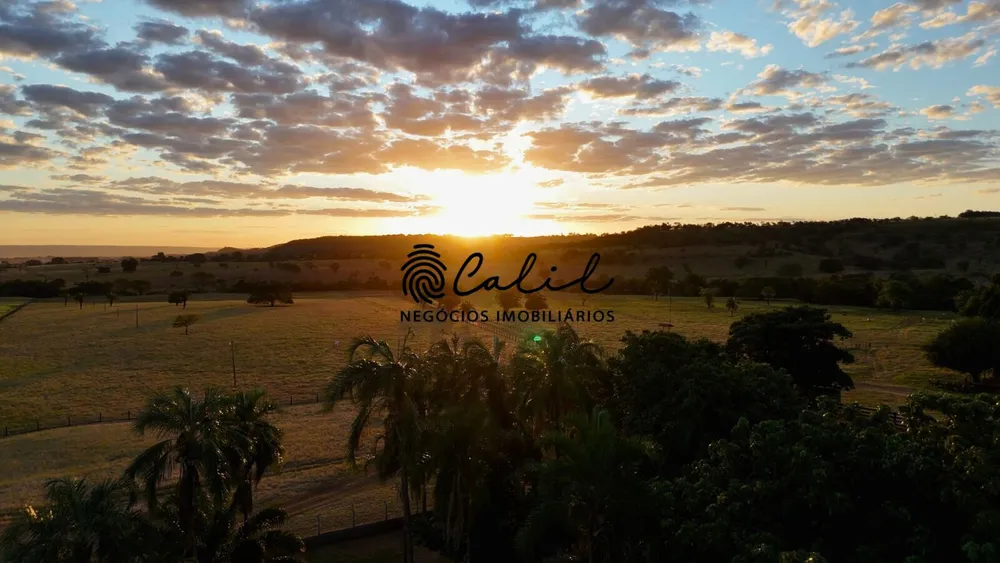 Fazenda, 1300 hectares - Foto 10