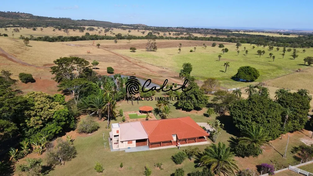 Fazenda, 1300 hectares - Foto 12