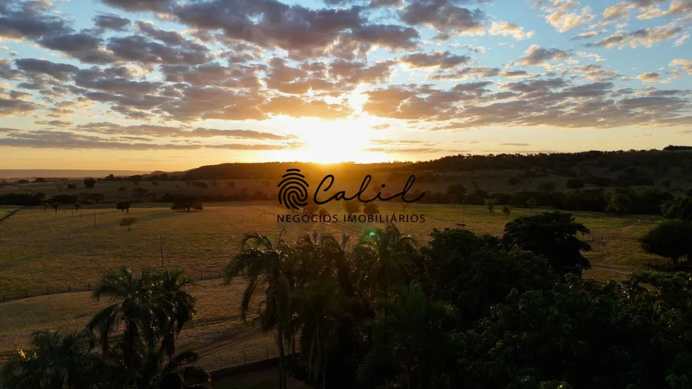 Fazenda, 1300 hectares - Foto 1