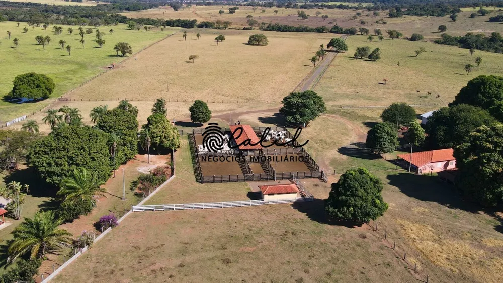 Fazenda, 1300 hectares - Foto 11
