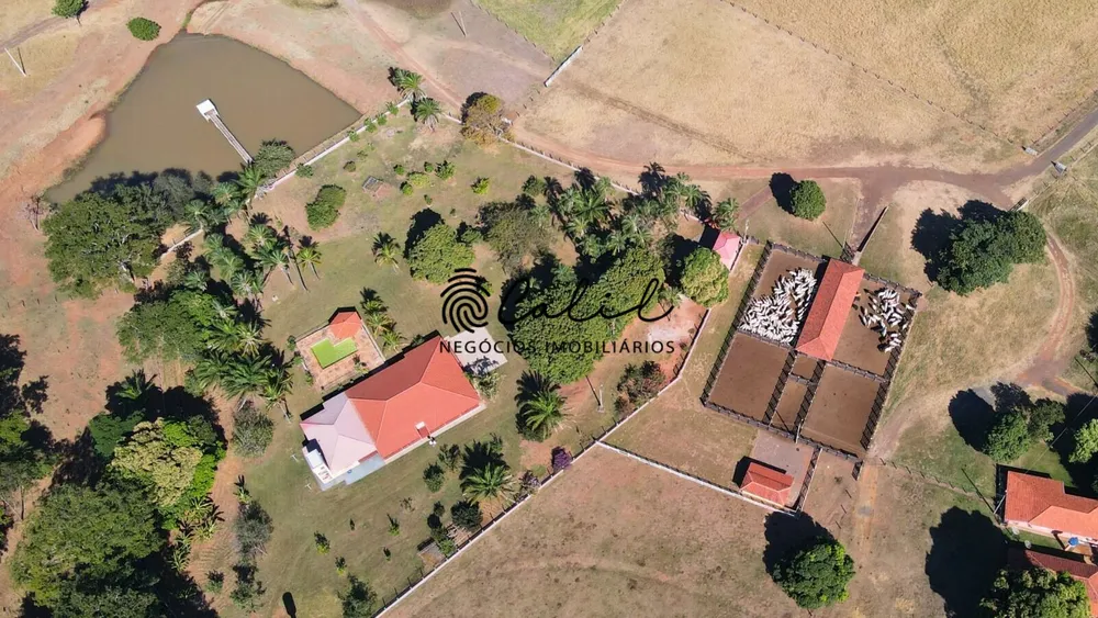 Fazenda, 1300 hectares - Foto 3