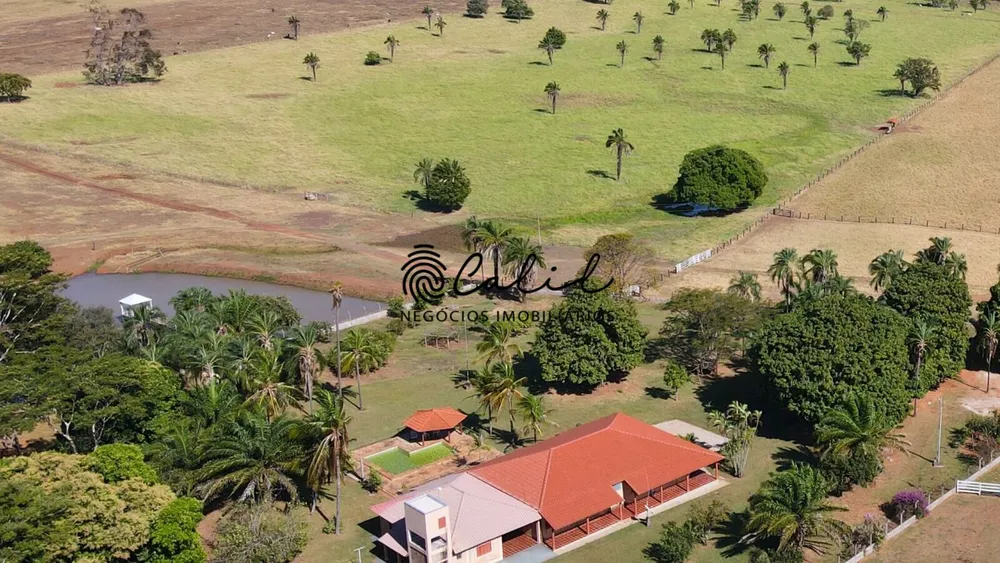 Fazenda, 1300 hectares - Foto 2