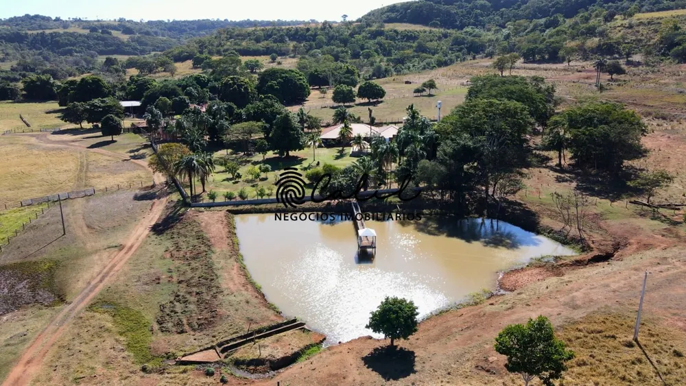 Fazenda, 1300 hectares - Foto 13