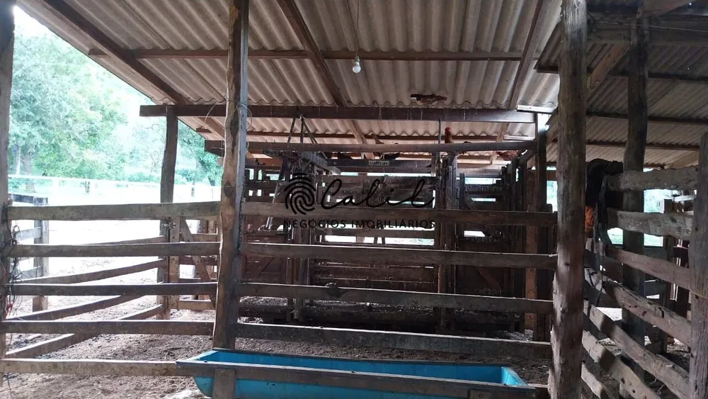 Fazenda, 704 hectares - Foto 11