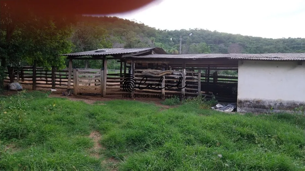 Fazenda, 704 hectares - Foto 10