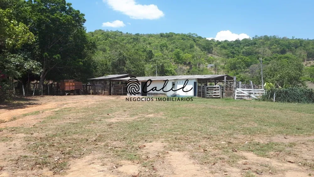 Fazenda, 704 hectares - Foto 9