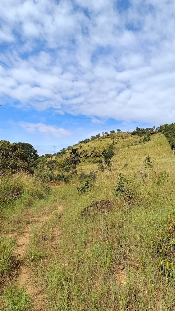 Fazenda, 704 hectares - Foto 2