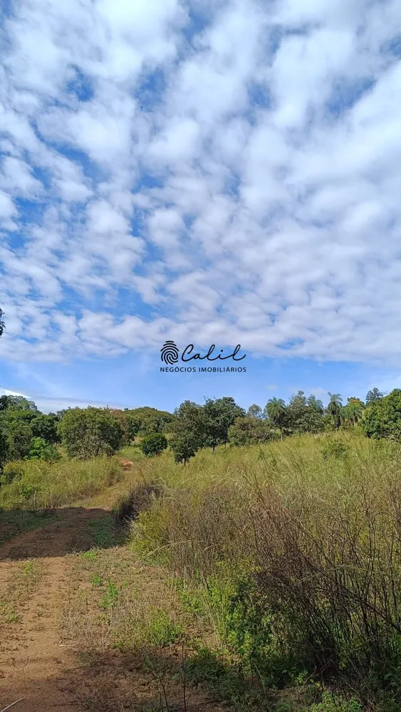 Fazenda, 704 hectares - Foto 1