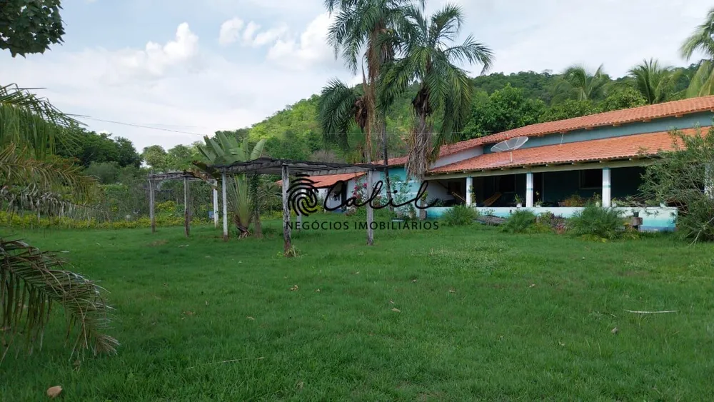 Fazenda, 704 hectares - Foto 4