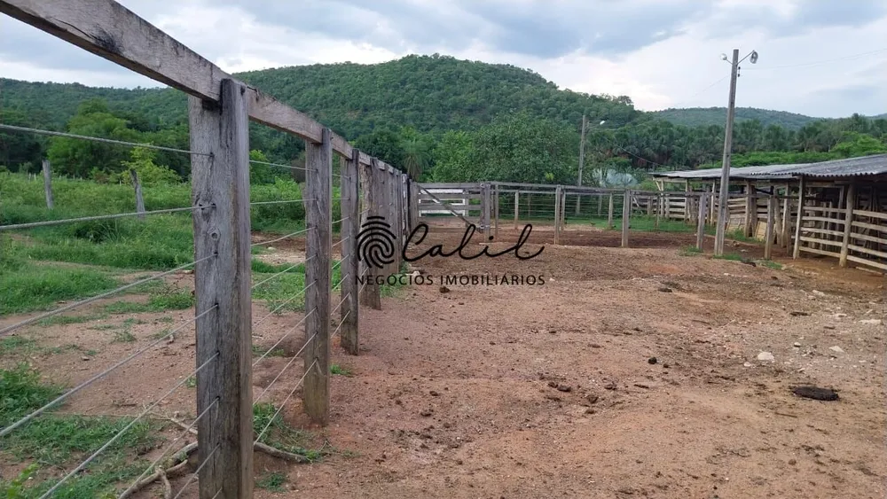 Fazenda, 704 hectares - Foto 12