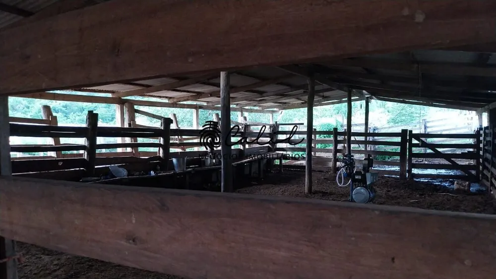 Fazenda, 704 hectares - Foto 13