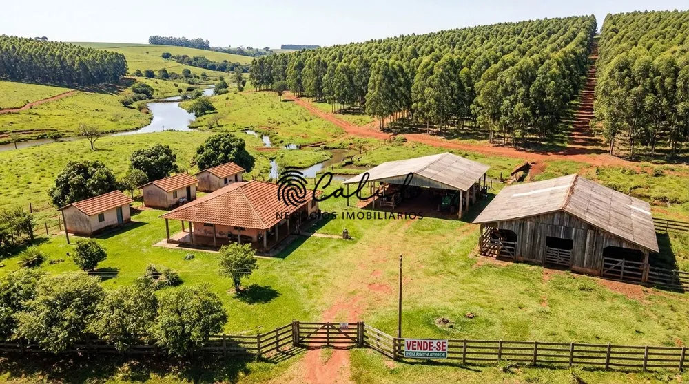 Fazenda, 239 hectares - Foto 1