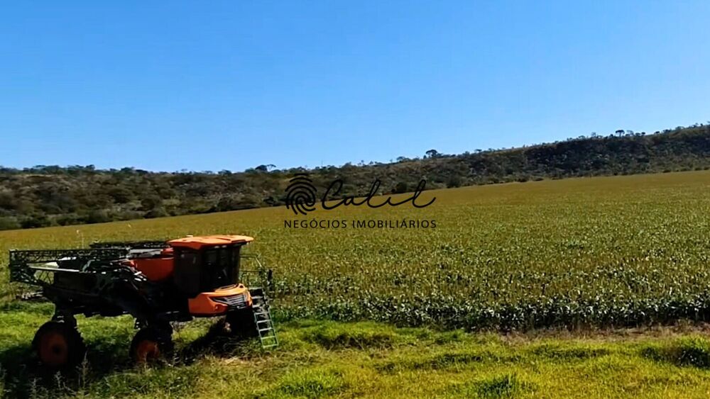 Fazenda, 237 hectares - Foto 4