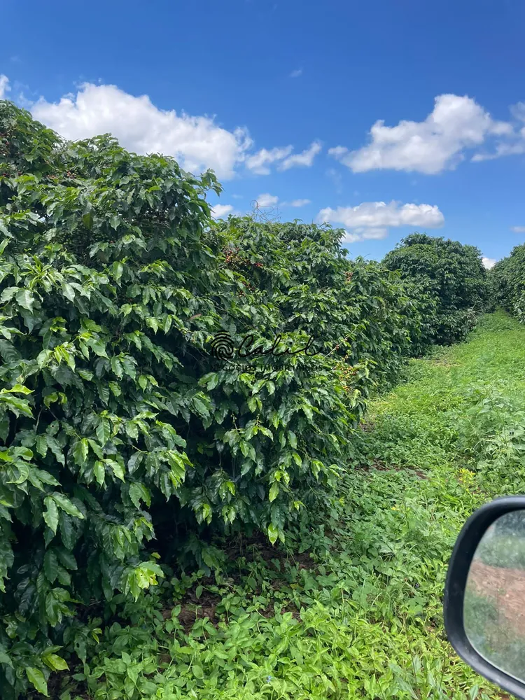 Fazenda, 595 hectares - Foto 13