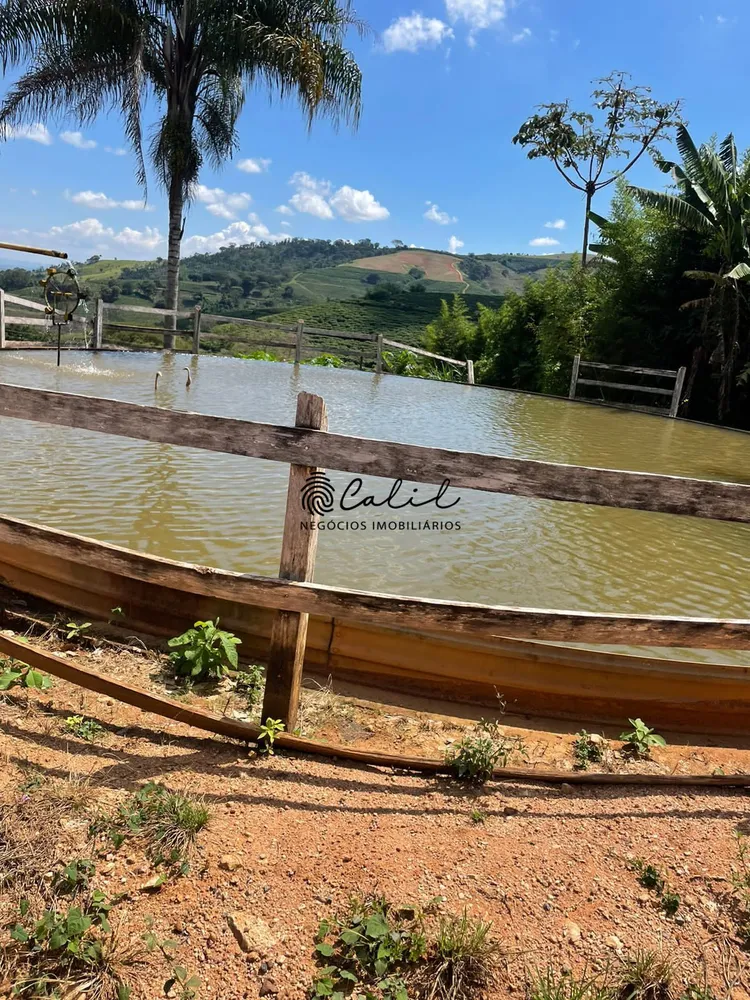 Fazenda, 595 hectares - Foto 2