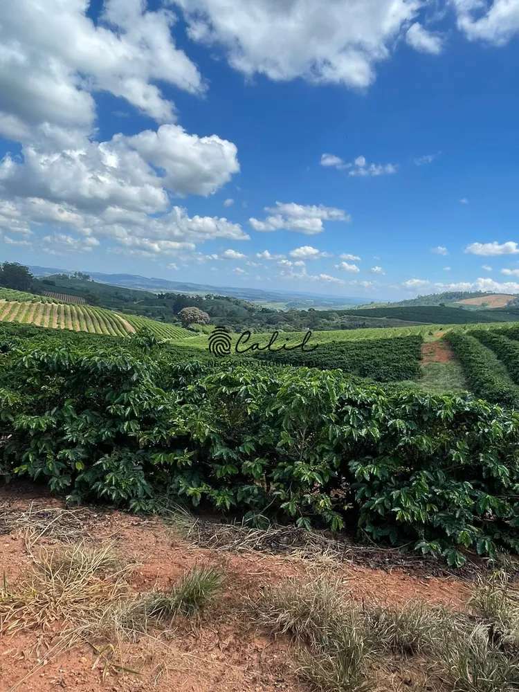 Fazenda, 595 hectares - Foto 9
