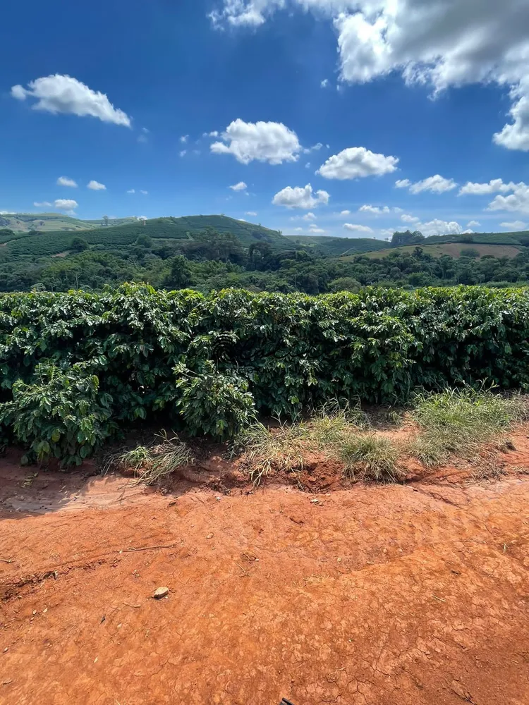 Fazenda, 595 hectares - Foto 7