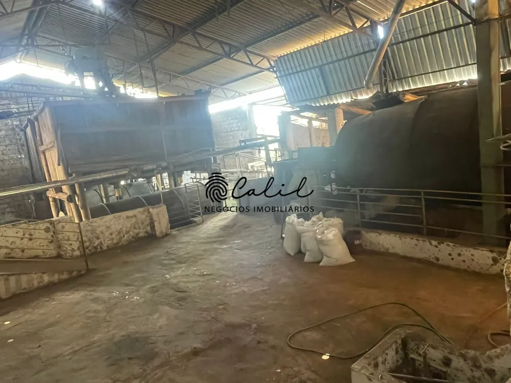 Fazenda, 595 hectares - Foto 3