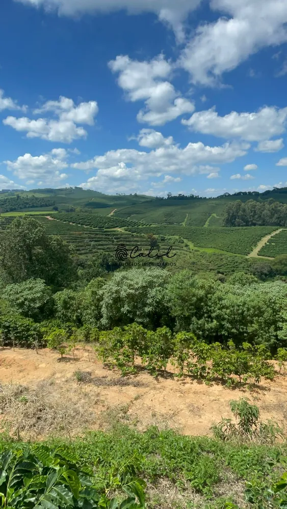 Fazenda, 595 hectares - Foto 12