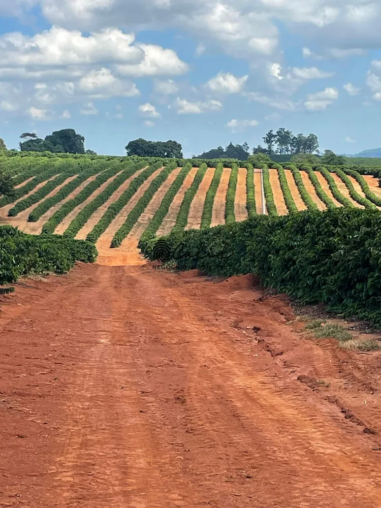 Fazenda, 595 hectares - Foto 17