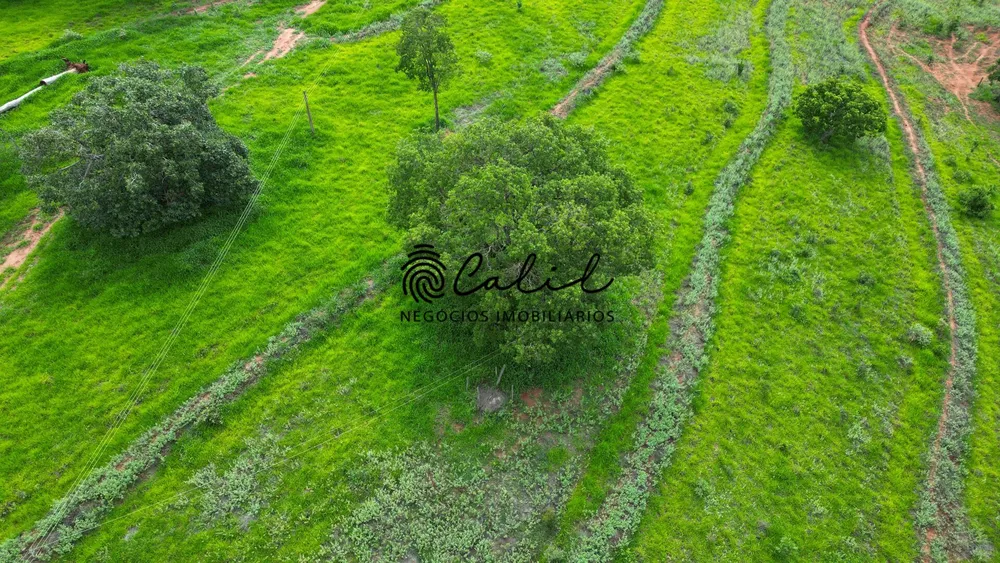 Fazenda, 92 hectares - Foto 15