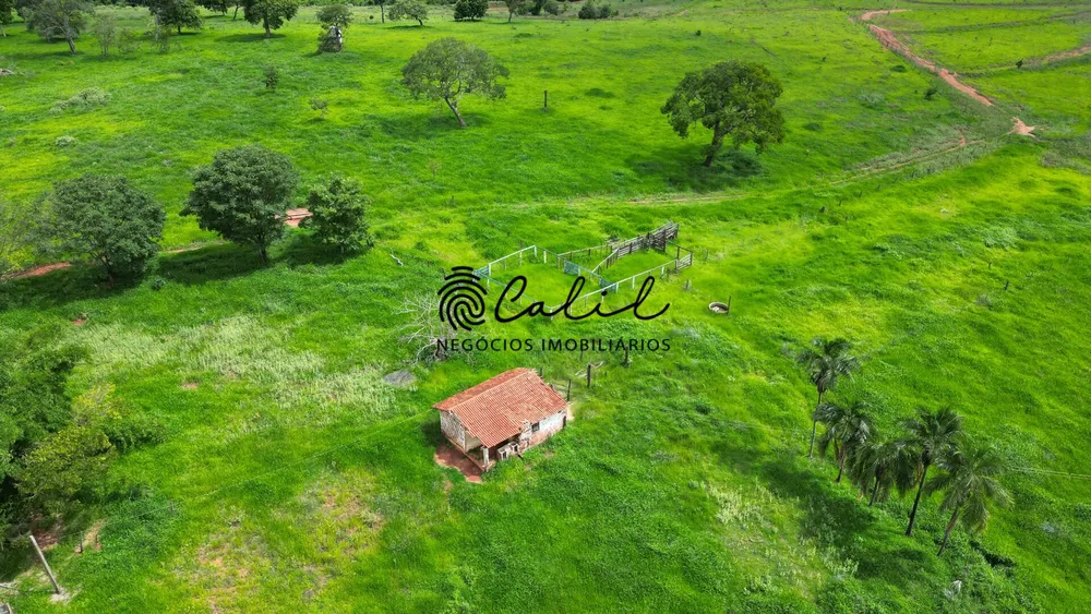 Fazenda, 92 hectares - Foto 11