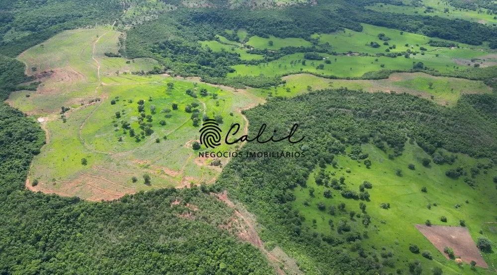 Fazenda, 92 hectares - Foto 4