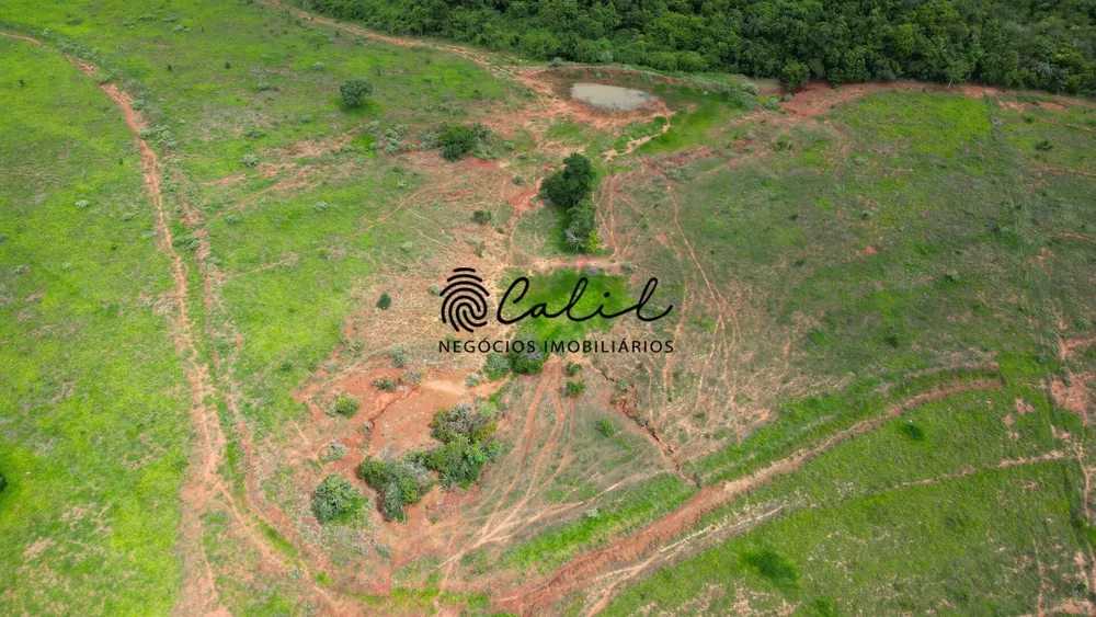 Fazenda, 92 hectares - Foto 14