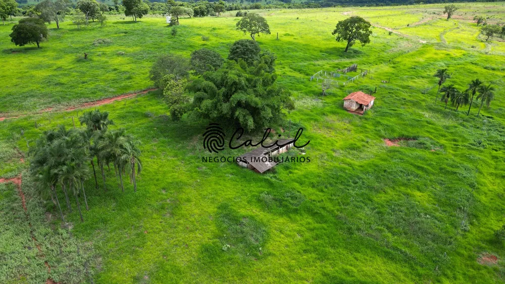 Fazenda, 92 hectares - Foto 16