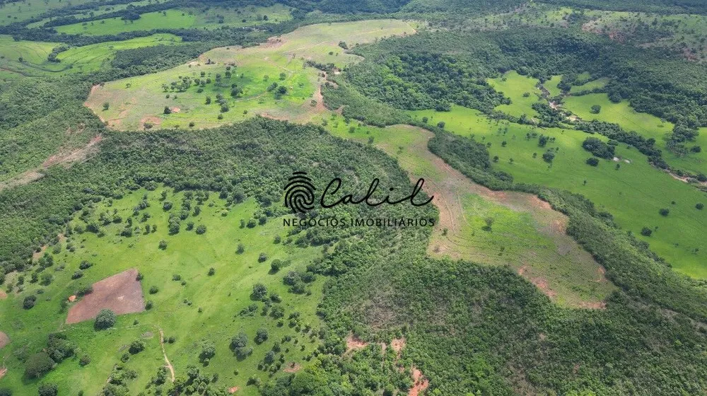 Fazenda, 92 hectares - Foto 5