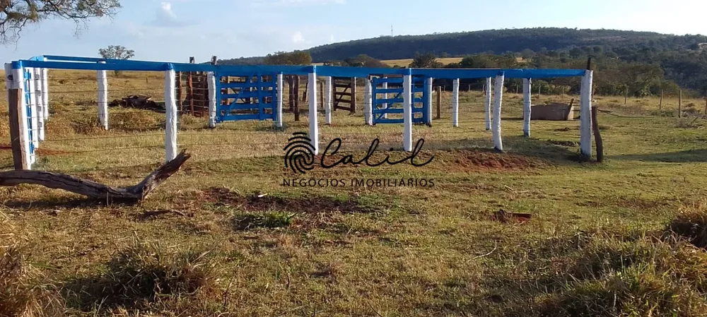 Fazenda, 92 hectares - Foto 12