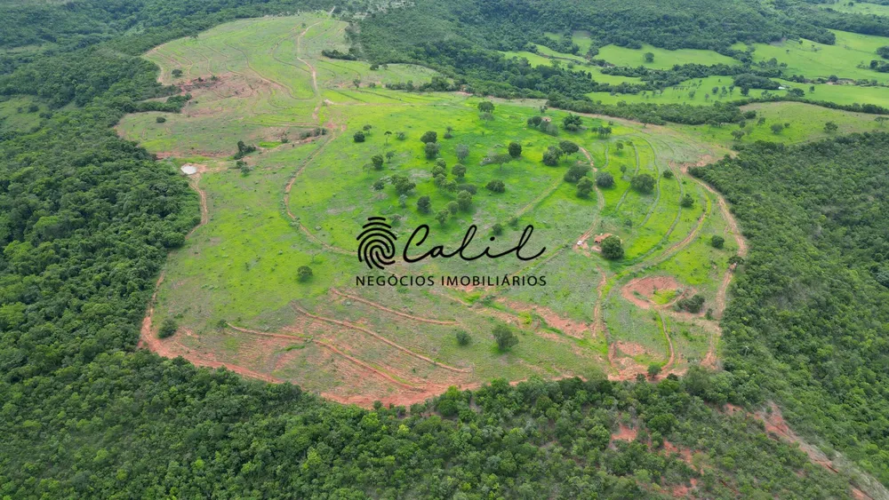 Fazenda, 92 hectares - Foto 1