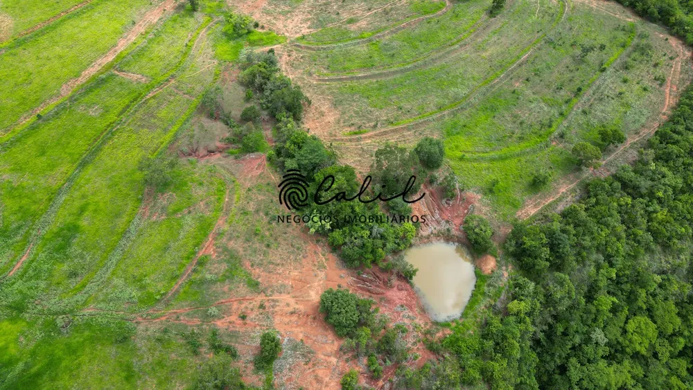 Fazenda, 92 hectares - Foto 13