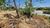 Terreno, 591 m² - Foto 4
