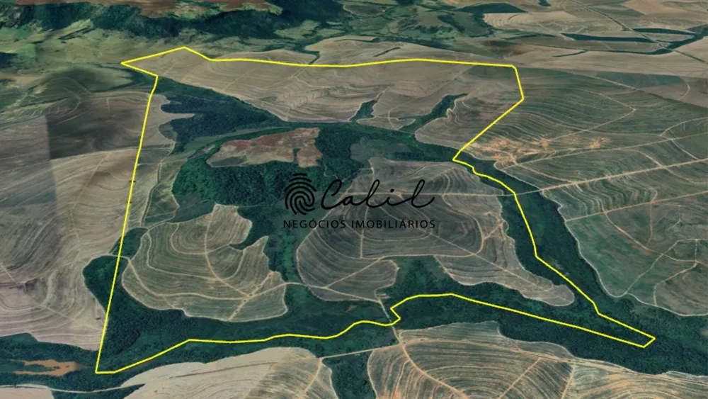 Fazenda, 235 hectares - Foto 10