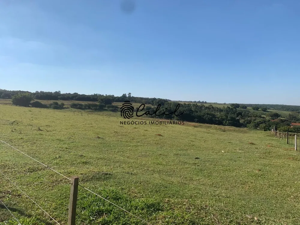 Fazenda, 235 hectares - Foto 6